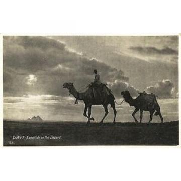 Postcard Egypt Eventide in the Desert Camel Riders 1920s Lehnert &amp; Landrock #128