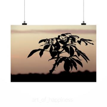 Stunning Poster Wall Art Decor Silhouette Shadow Eventide 36x24 Inches