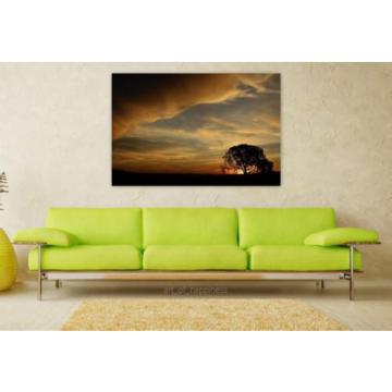 Stunning Poster Wall Art Decor Tree Eventide Sol Sunset Nature 36x24 Inches