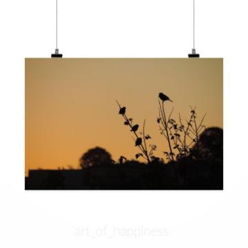 Stunning Poster Wall Art Decor Sparrow Birds Eventide Twilight 36x24 Inches