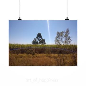 Stunning Poster Wall Art Decor Sunset Tree Sol Eventide Sky 36x24 Inches