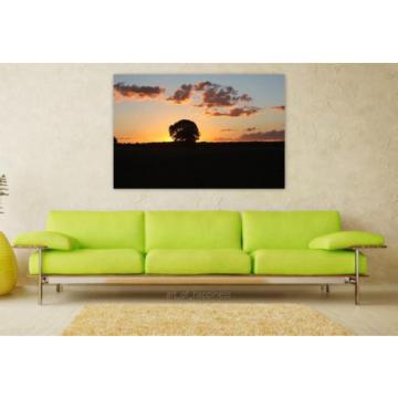 Stunning Poster Wall Art Decor Sol Landscape Farm Sunset Eventide 36x24 Inches