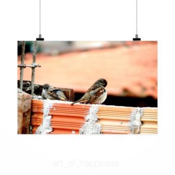 Stunning Poster Wall Art Decor Pigeons Nature Eventide Sparrow 36x24 Inches