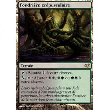 *MRM* ENG Fondriere Crepusculaire / Twilight Mire MTG Eventide