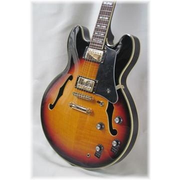 Dillion 2016 Deluxe semi hollow guitar . Special price