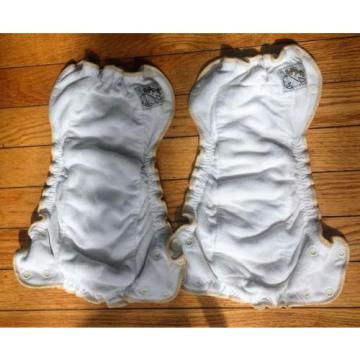 Mother Ease Sandy&#039;s Bamboo Fitted Cloth Diapers with Two Small Mother Ease Cover