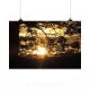 Stunning Poster Wall Art Decor Sol Afternoon Eventide 36x24 Inches #2 small image