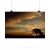 Stunning Poster Wall Art Decor Tree Eventide Sol Sunset Nature 36x24 Inches