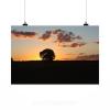 Stunning Poster Wall Art Decor Sol Landscape Farm Sunset Eventide 36x24 Inches #2 small image