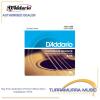 D&#039;Addario EJ16 Phosphor Bronze Light Acoustic Guitar Strings 12-53 Daddario
