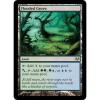 Flooded Grove - LP - Eventide MTG Magic Cards Land Rare