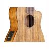 Cordoba Mini O CE Acoustic-Electric Nylon String Travel Cutaway Guitar + Gig Bag #5 small image