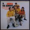 SUNRAYS: Andrea LP (Mono, drill hole, some discoloration on back cover, slight