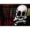Charvel Warren Demartini Blood N Skull Guitar RARE  USA San Dimas Signed