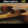 AXN™ Model 2 Tiger Custom Boutique Burnt Guitar Korina Neck USA