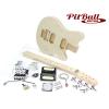 Pit Bull Guitars MM-1F Electric Guitar Kit