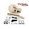 Pit Bull Guitars ES-3 Electric Guitar Kit #1 small image