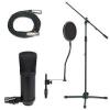 MCA SP-1 Studio Condenser Microphone with Stand and Cable Package - New