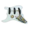 920D Loaded Pickguard Fender Eric Johnson White 1 Ply 8 Hole/Aged White Pickups #2 small image