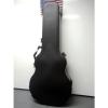 SKB 1SKB35 Thin Body Semi-Hollow ABS Molded TSA Guitar Case NICE #1 small image