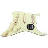 JBE Pickups S-Deluxe Set Chunky Joe Barden Stratocaster Loaded Pickguard MG/AW #1 small image