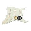 920D Loaded Strat Pickguard Klein Jazzy Cat Pickups 7 Way Switching MG/AW #1 small image