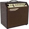 Ashdown Woodsman-Classic   ·   40 W, 2 Channel, Acoustic Amp Combo, 1 x 8&#034; + HF #1 small image