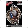 D&#039;Addario Planet Waves Guitar Tattoo Decal Freedom Eagle  GT77016 New
