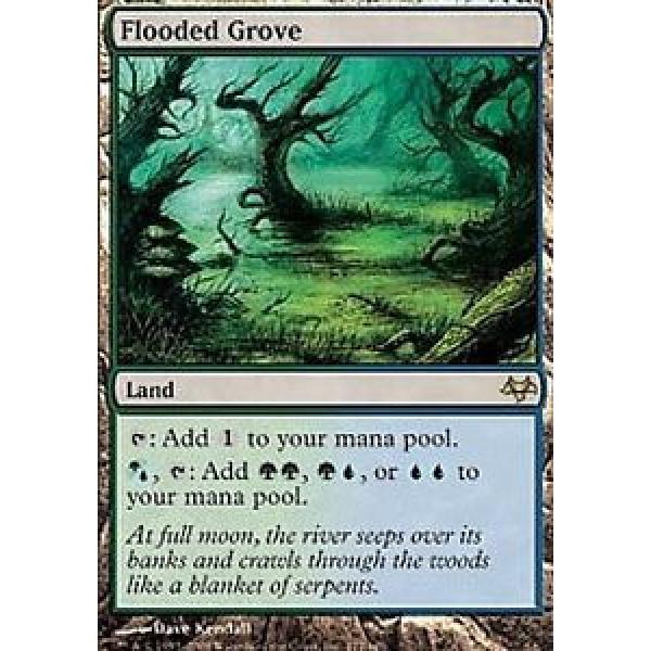 Flooded Grove MTG Eventide LP #1 image