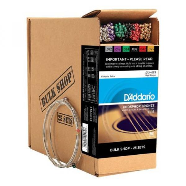 D&#039;Addario EJ16-B25 Phosphor Bronze Acoustic Guitar Strings Light 25 Bulk Sets #1 image