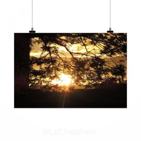 Stunning Poster Wall Art Decor Sol Afternoon Eventide 36x24 Inches #2 image