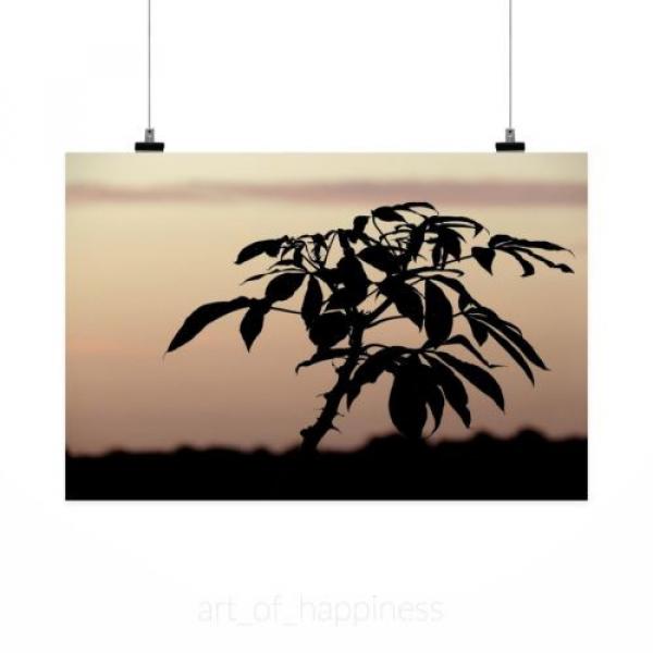 Stunning Poster Wall Art Decor Silhouette Shadow Eventide 36x24 Inches #2 image