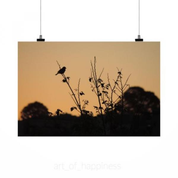 Stunning Poster Wall Art Decor Sparrow Birds Eventide Twilight 36x24 Inches #2 image