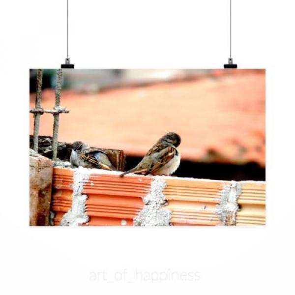 Stunning Poster Wall Art Decor Pigeons Nature Eventide Sparrow 36x24 Inches #2 image