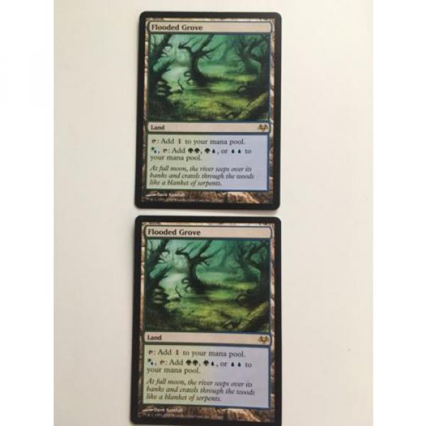 1x Flooded Grove - SP, Eventide - MTG Magic the Gathering (2 Available) #1 image
