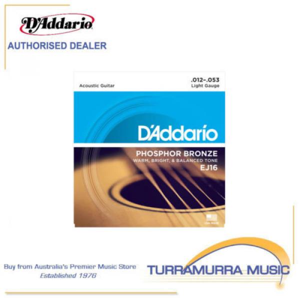 D&#039;Addario EJ16 Phosphor Bronze Light Acoustic Guitar Strings 12-53 Daddario #1 image