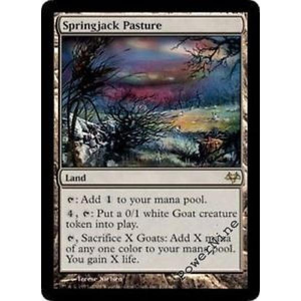 1 Springjack Pasture - Land Eventide Mtg Magic Rare 1x x1 #1 image