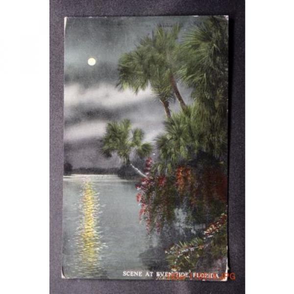 c.1914 Postcard Scene at Even-Tide in Florida - Posted #1 image