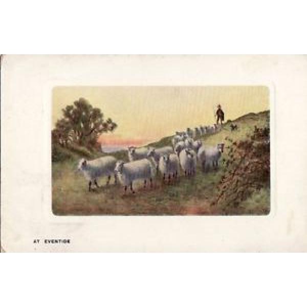 M17.Vintage Postcard.At Eventide.Sheep going home. #1 image