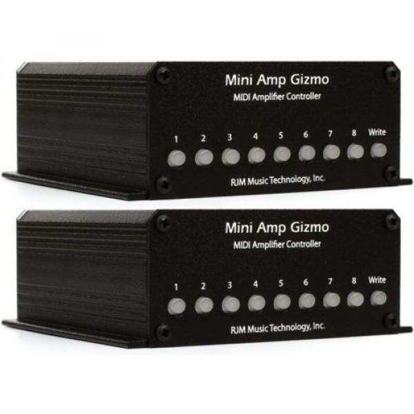 RJM Music Mini Amp Gizmo (2-pack) Value Bundle #1 image