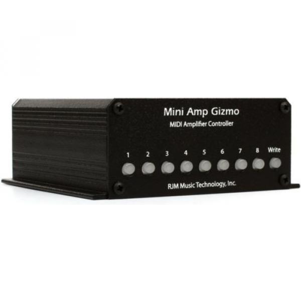 RJM Music Mini Amp Gizmo (2-pack) Value Bundle #2 image