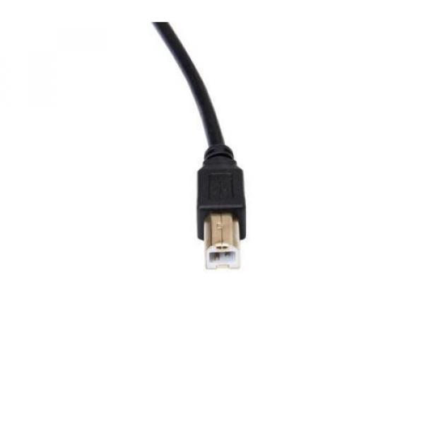 OMNIHIL 2.0 USB Cable for Positive Grid BIAS Head 600W Amp Match Amplifier Head #3 image