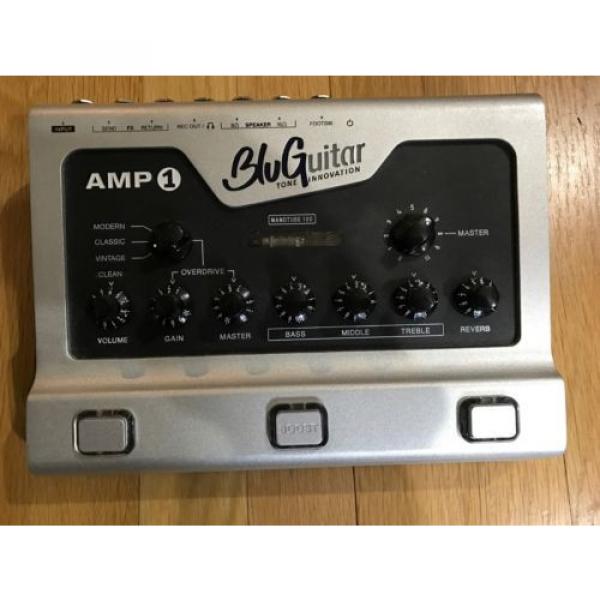 BluGuitar Amp1 100 watt pedalboard amp with nanotube - MINT condition #2 image