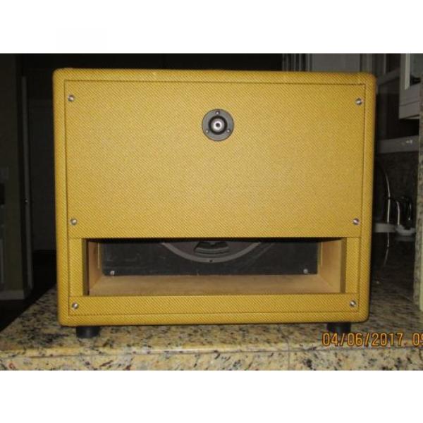 Blues Junior Extension Cabinet by Mojotone with Eminence Cannabis Rex Speaker #3 image