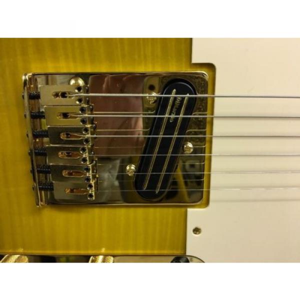 Fender Richie Kotzen Telecaster Tele Maple Neck Brown Sunburst Signature Model! #3 image