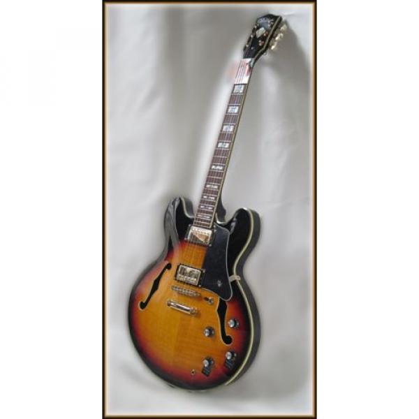 Dillion 2016 Deluxe semi hollow guitar . Special price #2 image