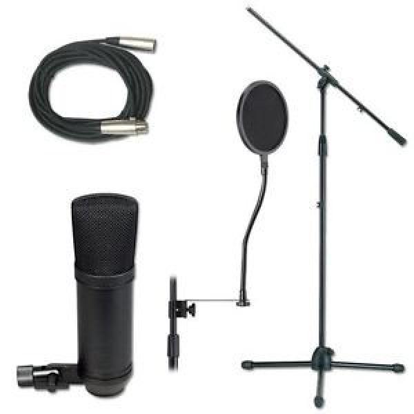 MCA SP-1 Studio Condenser Microphone with Stand and Cable Package - New #1 image