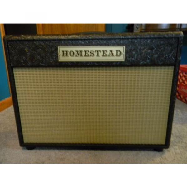Homestead Fifty HS50 25/50 Watt Boutique 6l6 2X10 Combo Amplifier Brand New !!! #2 image