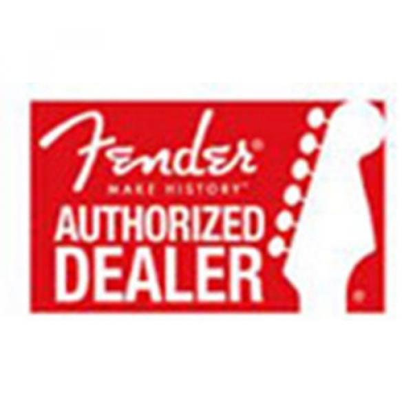 Fender Bassbreaker 45 Tube Combo Amp #2 image
