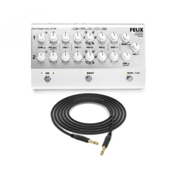 Grace Design FELiX | Dual Channel Instrument &amp; Mic Preamplifier/DI/EQ | PALA #1 image